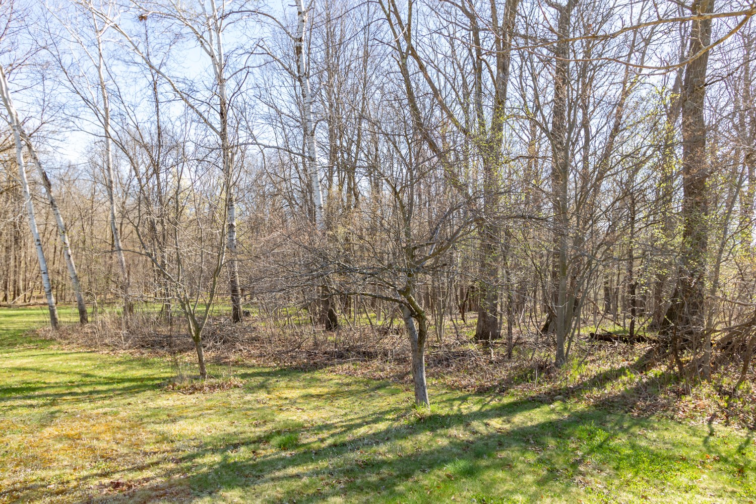 1343 165th Avenue Balsam Lake WI 54810 — photo 27