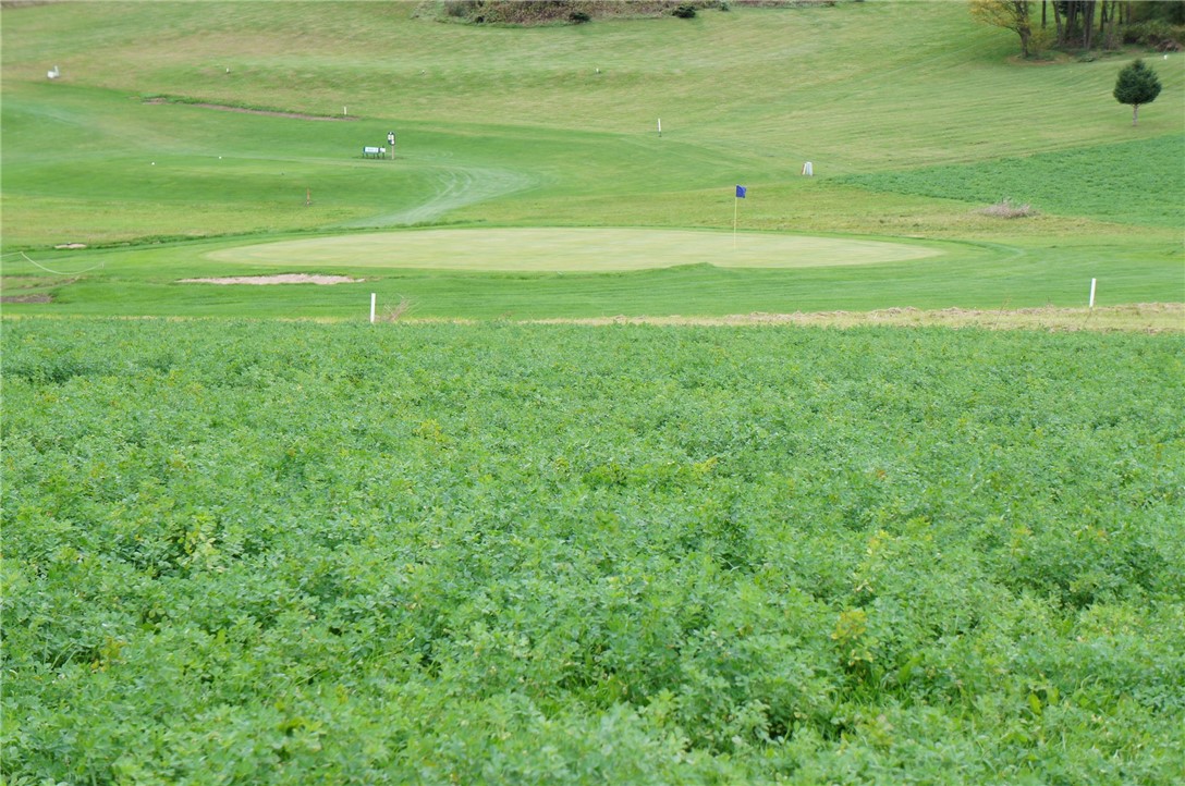 Residential at 1361 Valley Estates Road, Mondovi, WI 54755 — photo 2