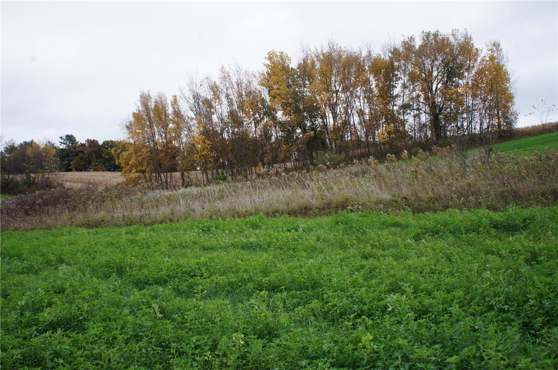 Residential at 1361 Valley Estates Road, Mondovi, WI 54755 — photo 8