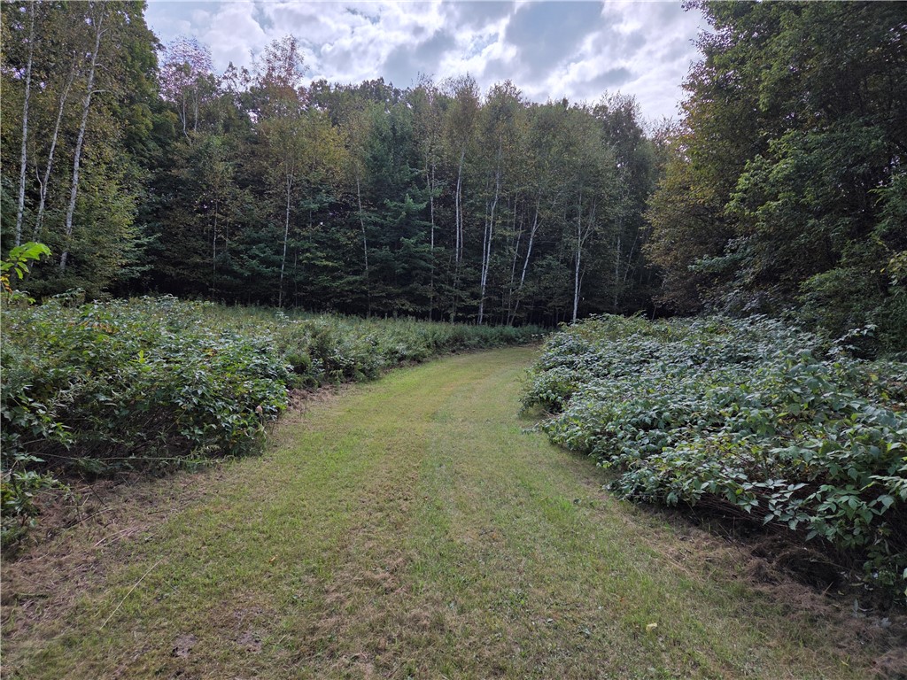 1449-3-12-Dallas-WI-54733-5