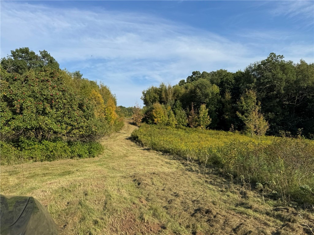 1449-3-12-Dallas-WI-54733-6