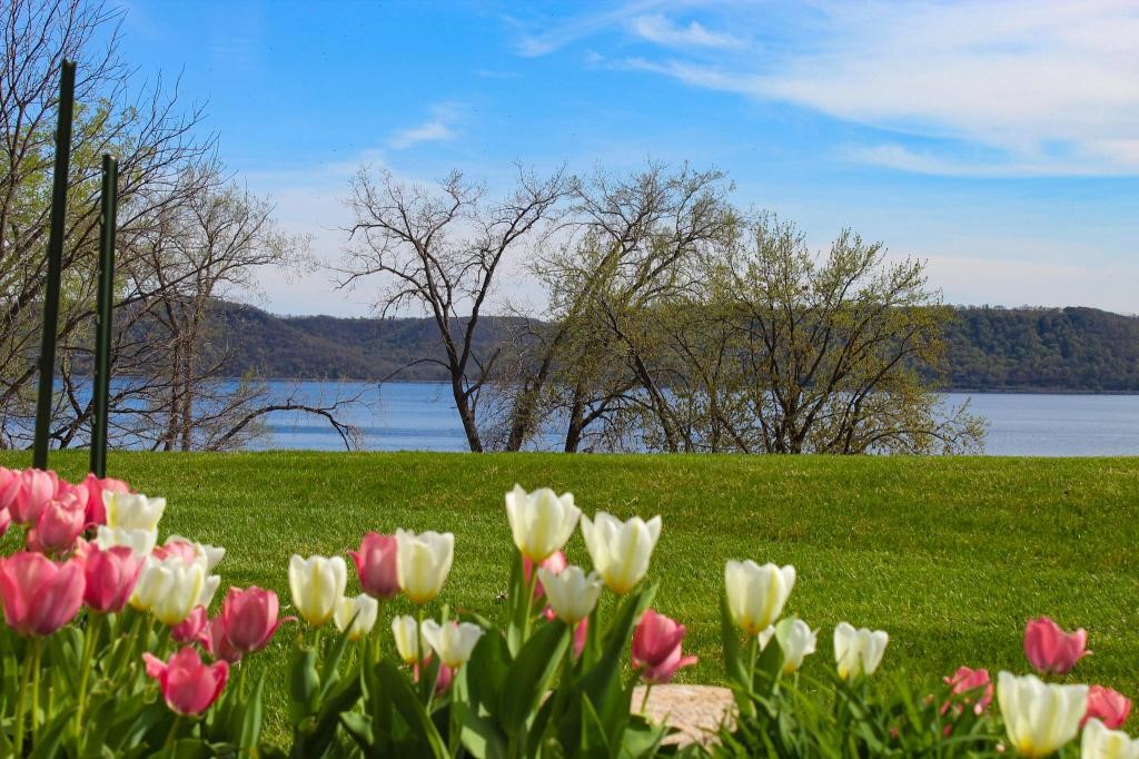 1501 1st Street Pepin WI 54759 — photo 42