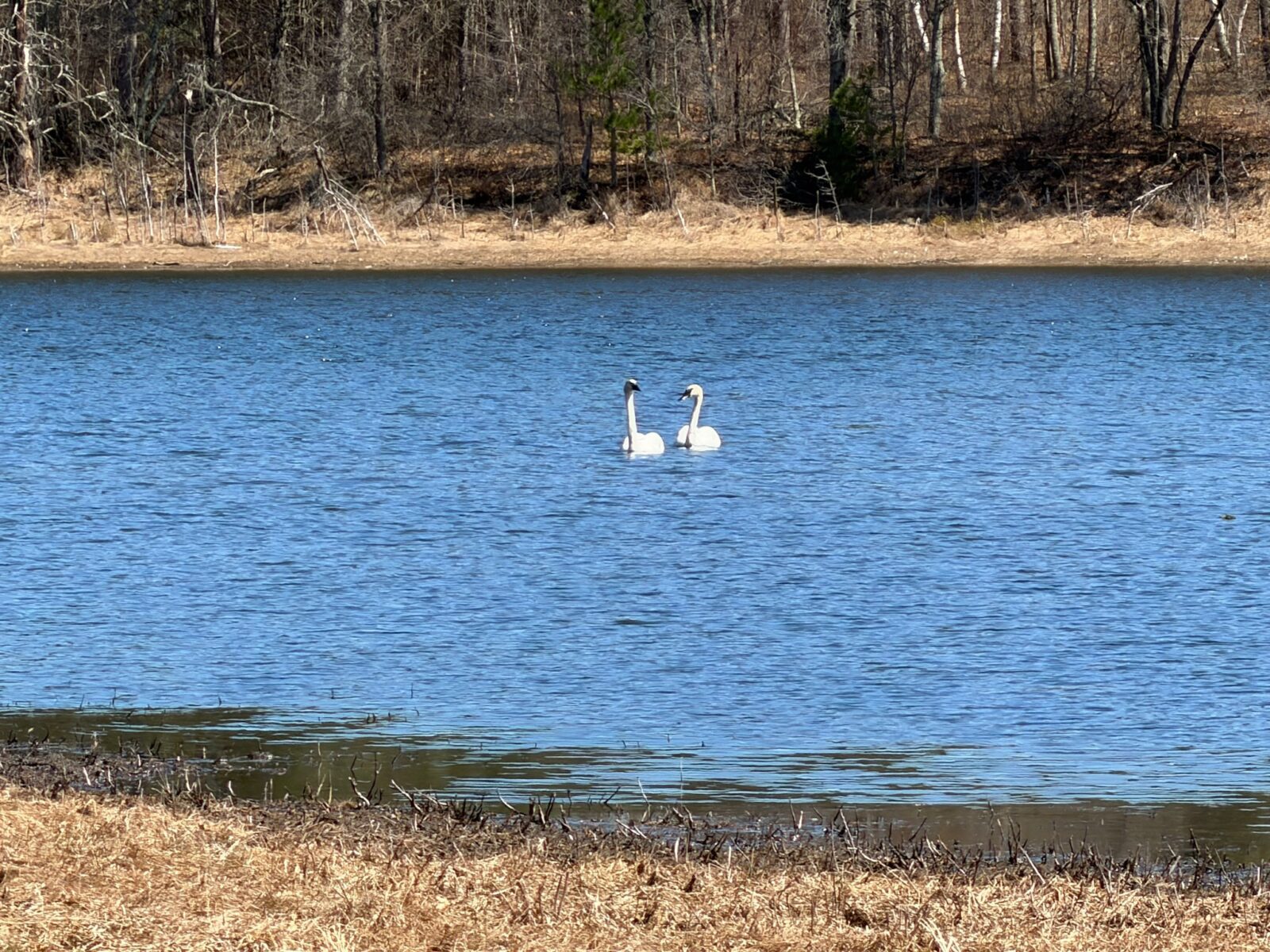 Residential at 15051 Thorn Lake Loop Loop, Gordon, WI 54838 — photo 11