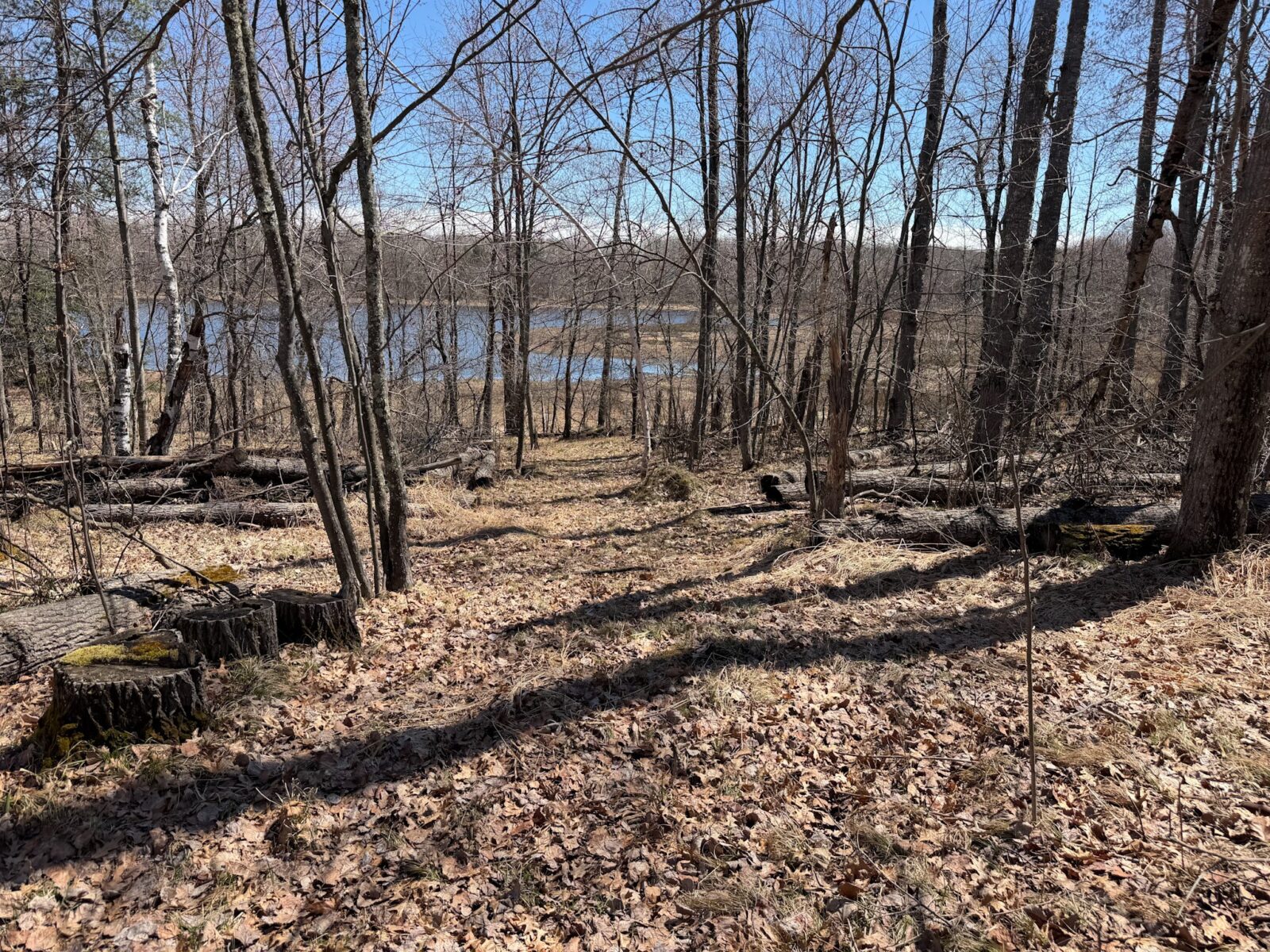 Residential at 15051 Thorn Lake Loop Loop, Gordon, WI 54838 — photo 8