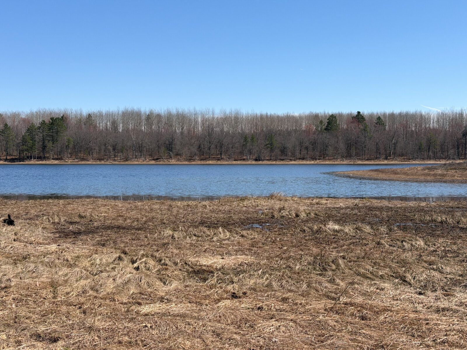 Residential at 15051 Thorn Lake Loop Loop, Gordon, WI 54838 — photo 10