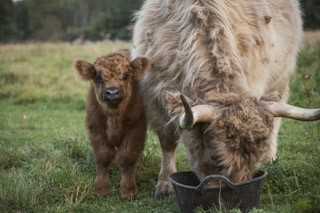 1543 6 1/2 Avenue, Hillsdale, WI — photo 17