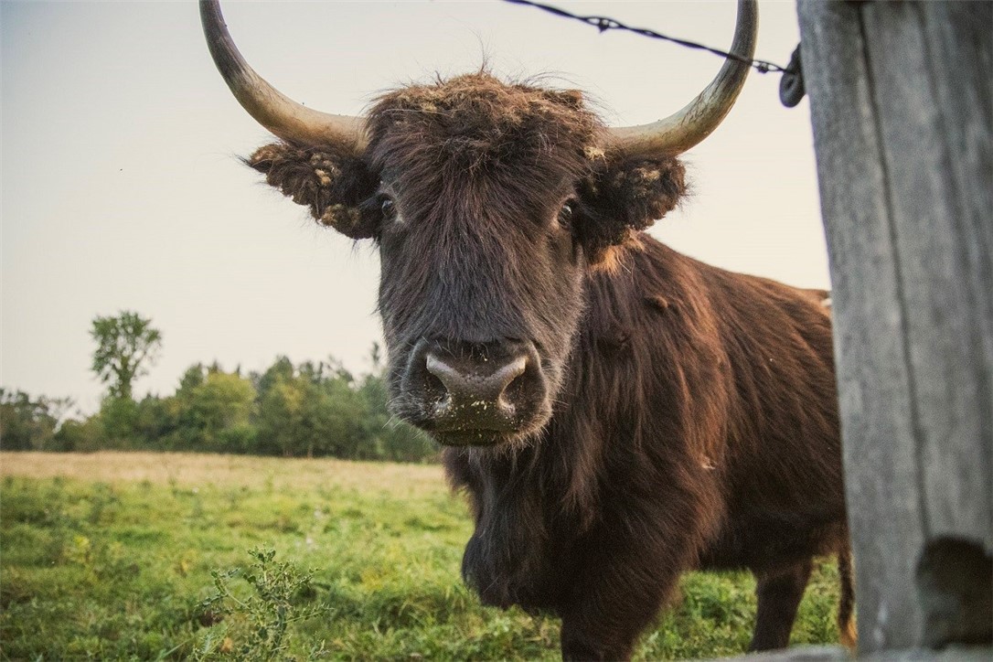 1543 6 1/2 Avenue, Hillsdale, WI — photo 23