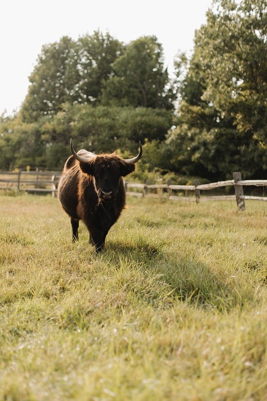 1543 6 1/2 Avenue, Hillsdale, WI — photo 26