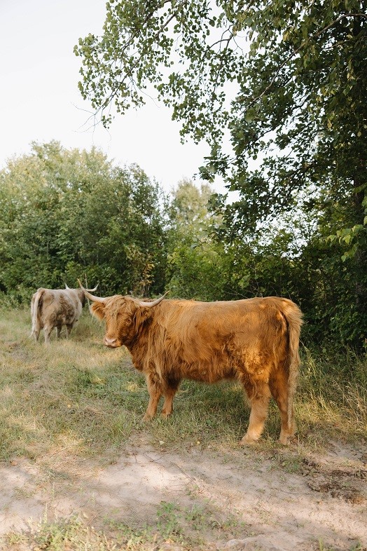 1543 6 1/2 Avenue, Hillsdale, WI — photo 29