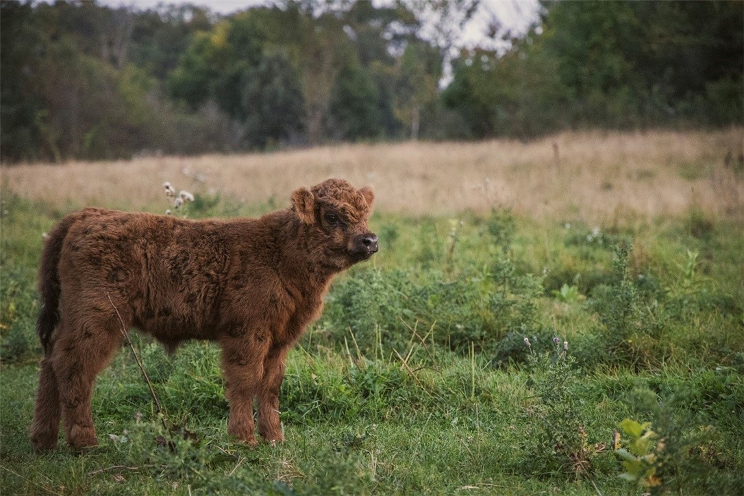 1543 6 1/2 Avenue, Hillsdale, WI — photo 34