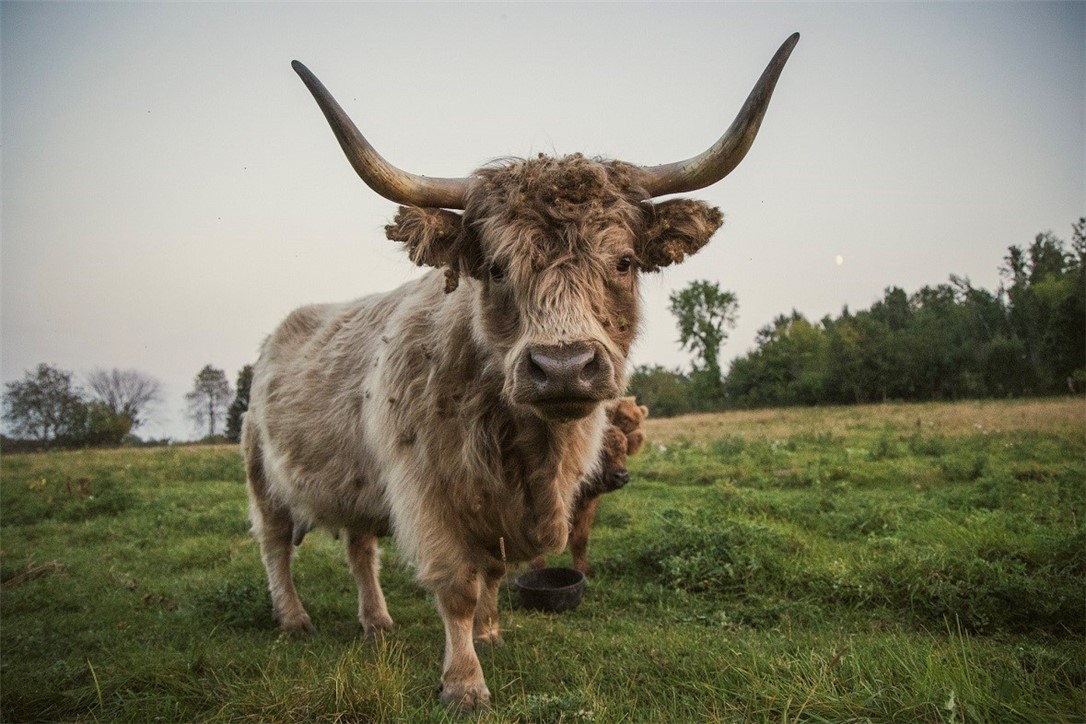 1543 6 1/2 Avenue, Hillsdale, WI — photo 36