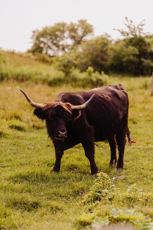 1543 6 1/2 Avenue, Hillsdale, WI — photo 39