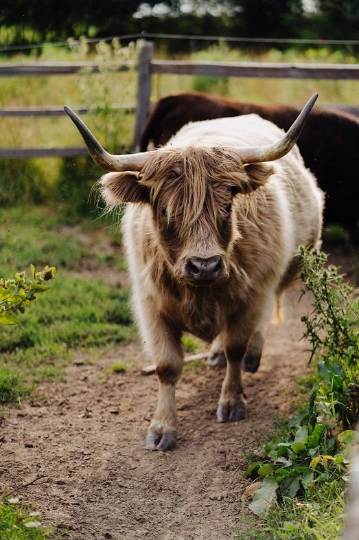 1543 6 1/2 Avenue, Hillsdale, WI — photo 40