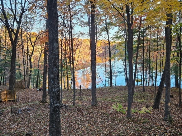 Residentialhouse for sale picture with an address of  15486 221st Avenue in Bloomer and a list price of 615000