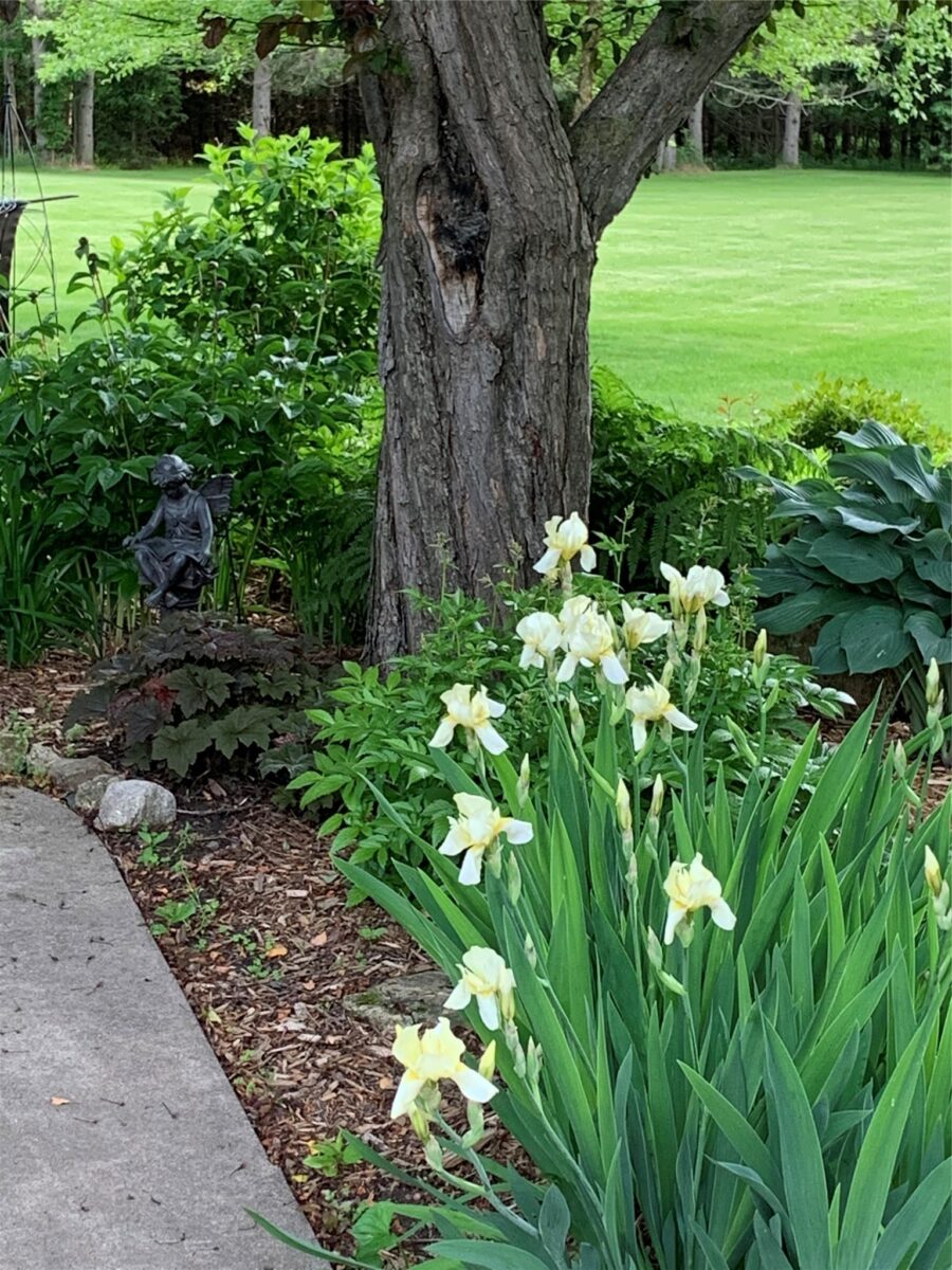 1549 Twin Springs Road, Houlton, WI — photo 34