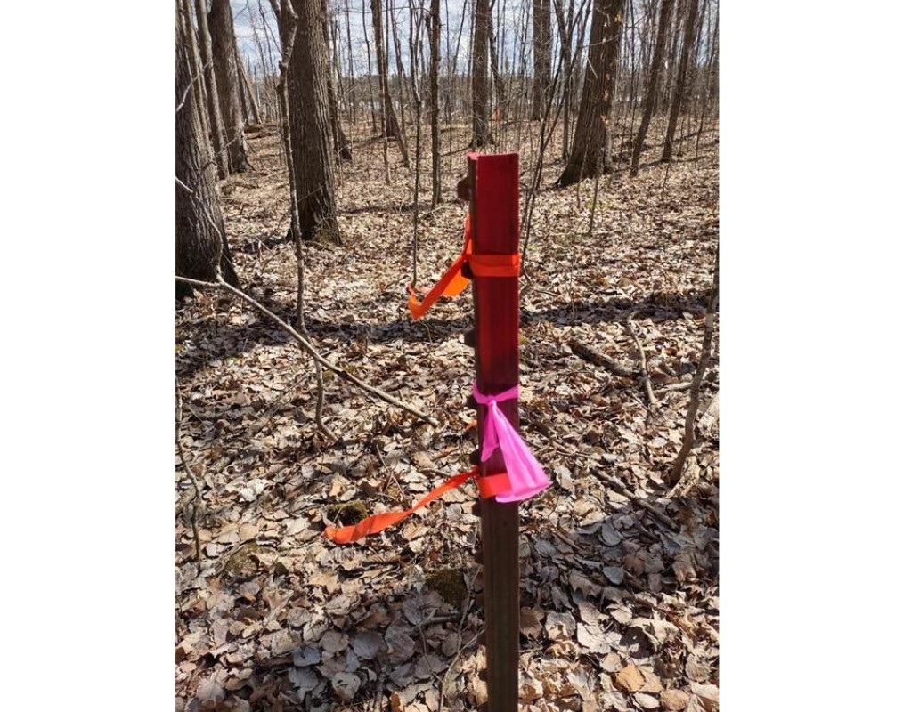 Residential at 154XX Durphee Lane, Hayward, WI 54843 — photo 14