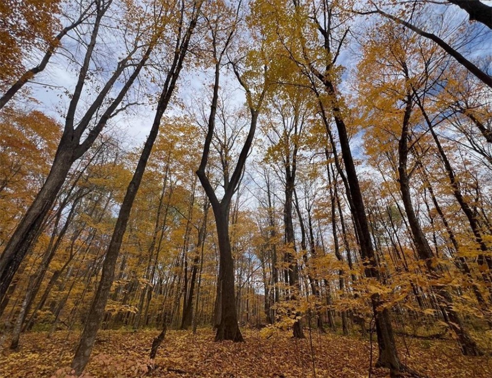 Residential at 154XX Durphee Lane, Hayward, WI 54843 — photo 3