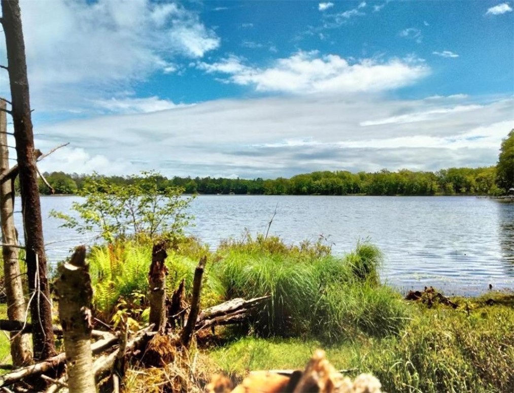 Residential at 154XX Durphee Lane, Hayward, WI 54843 — photo 4