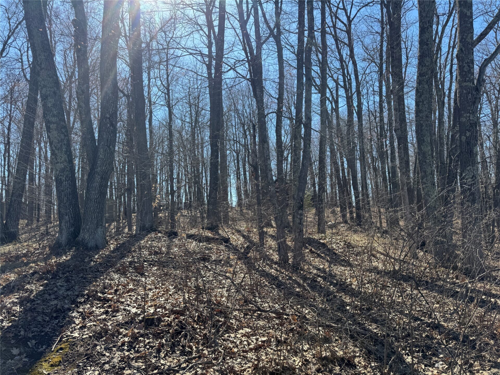 Residential at 15524W Holly Lake Lane, Stone Lake, WI 54876 — photo 11