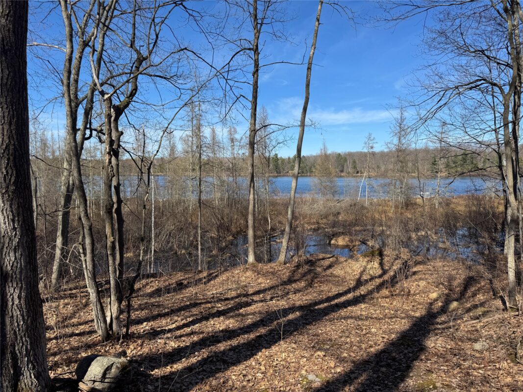 Residential at 15524W Holly Lake Lane, Stone Lake, WI 54876 — photo 12