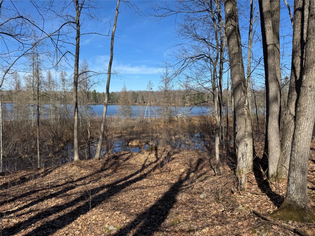 Residential at 15524W Holly Lake Lane, Stone Lake, WI 54876 — photo 13