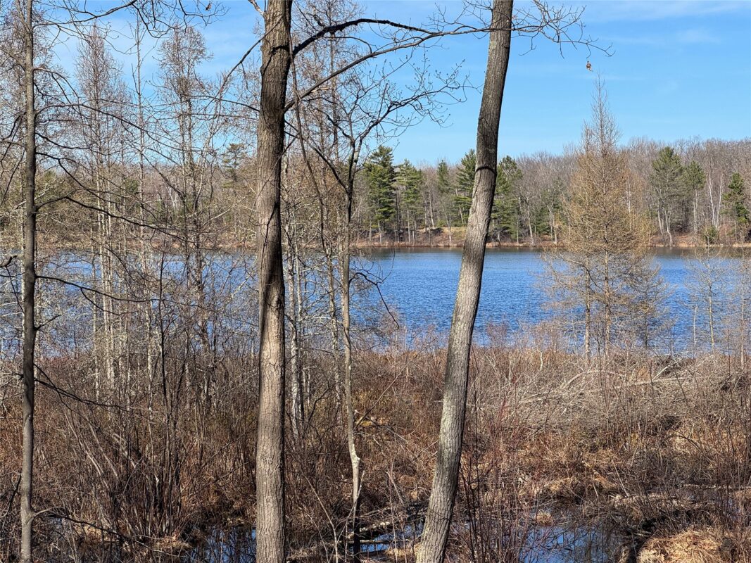 Residential at 15524W Holly Lake Lane, Stone Lake, WI 54876 — photo 15