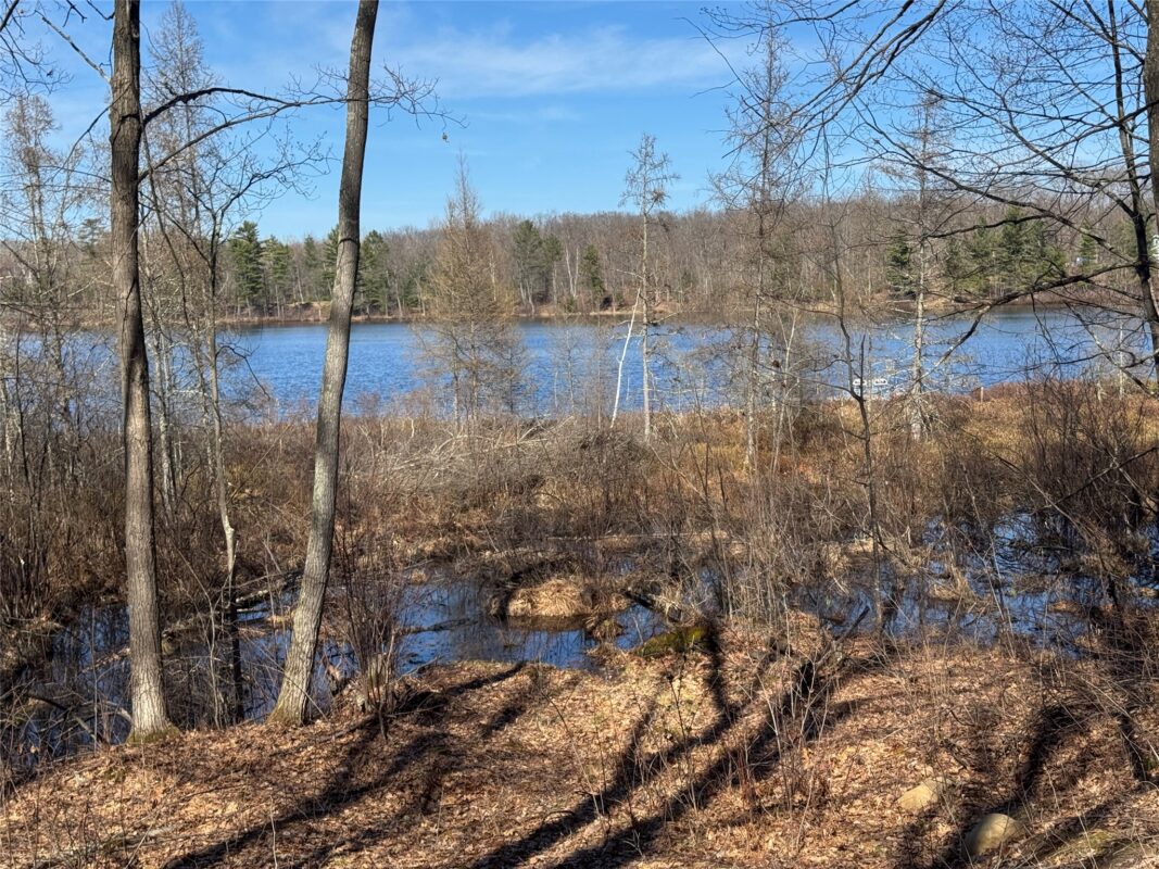 Residential at 15524W Holly Lake Lane, Stone Lake, WI 54876 — photo 17