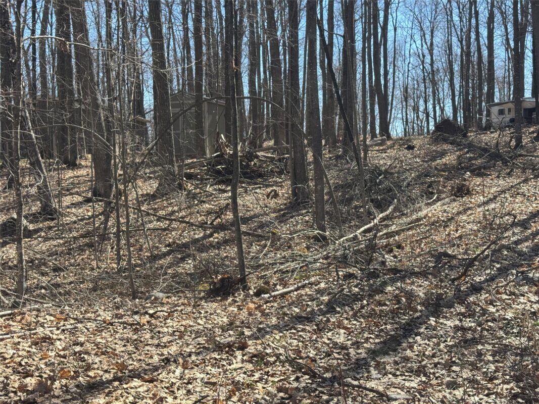 Residential at 15524W Holly Lake Lane, Stone Lake, WI 54876 — photo 20