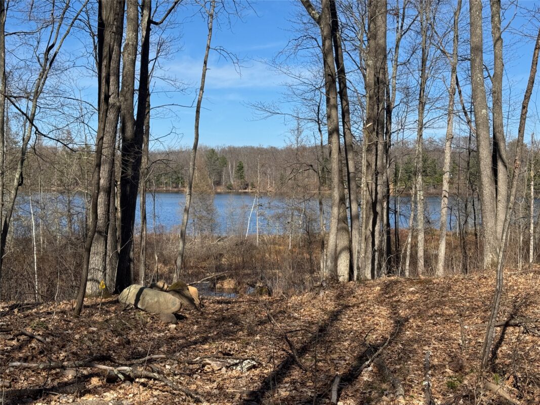 Residential at 15524W Holly Lake Lane, Stone Lake, WI 54876 — photo 21