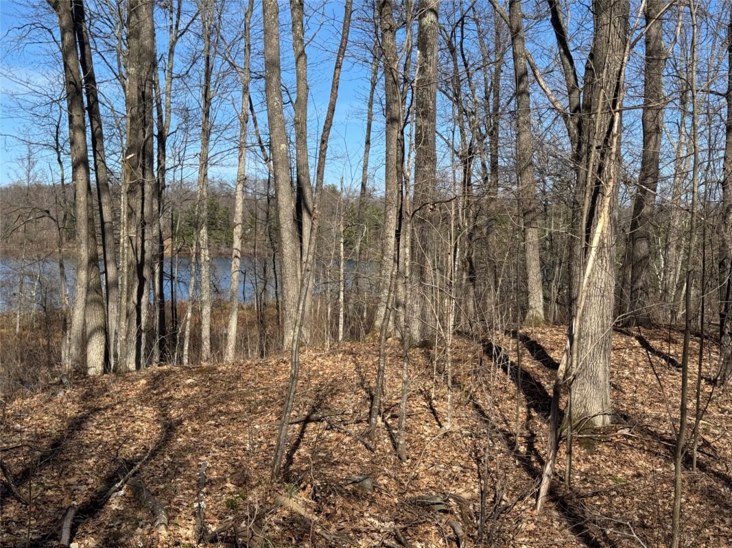 Residential at 15524W Holly Lake Lane, Stone Lake, WI 54876 — photo 22