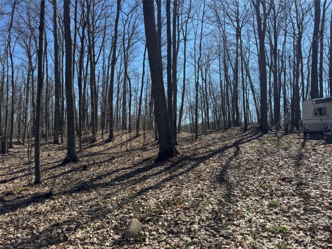 Residential at 15524W Holly Lake Lane, Stone Lake, WI 54876 — photo 31