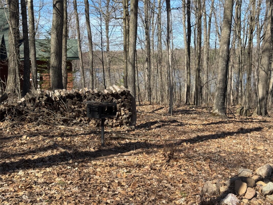 Residential at 15524W Holly Lake Lane, Stone Lake, WI 54876 — photo 35