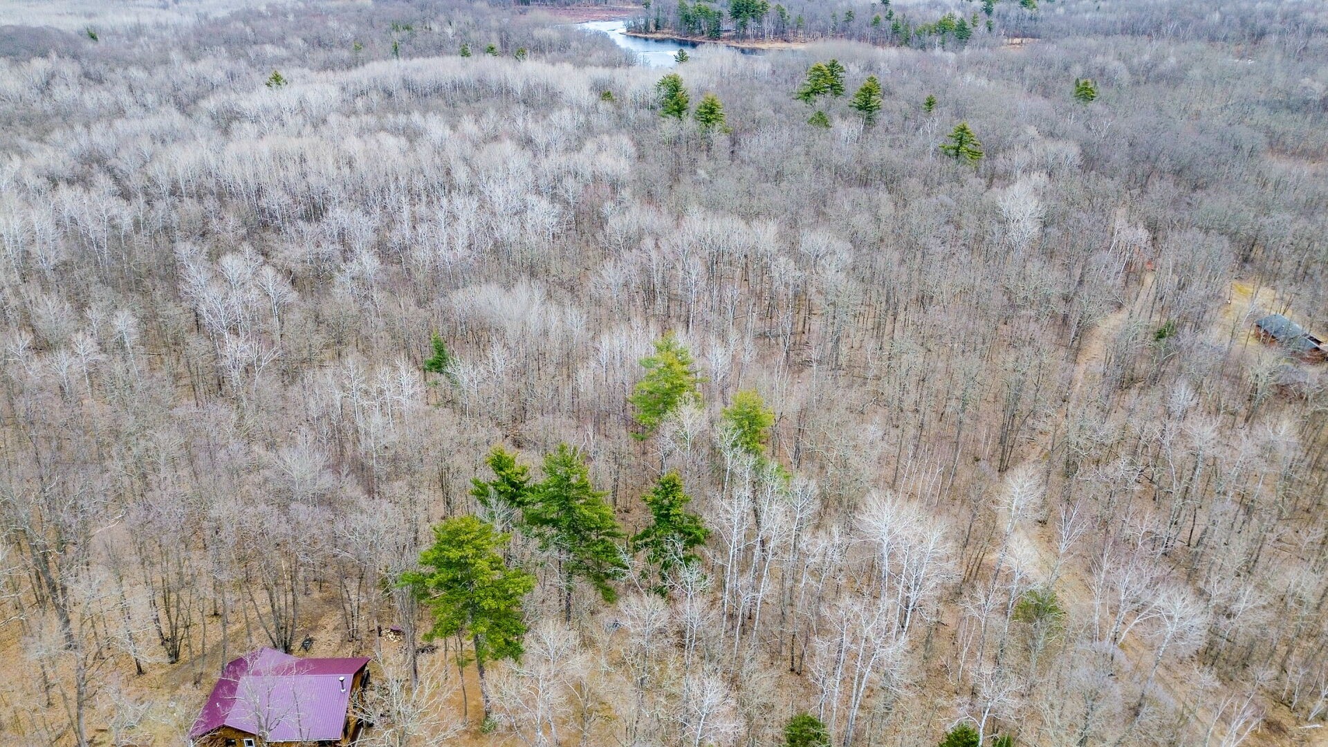 15594-Deer-Birchwood-WI-54817-4