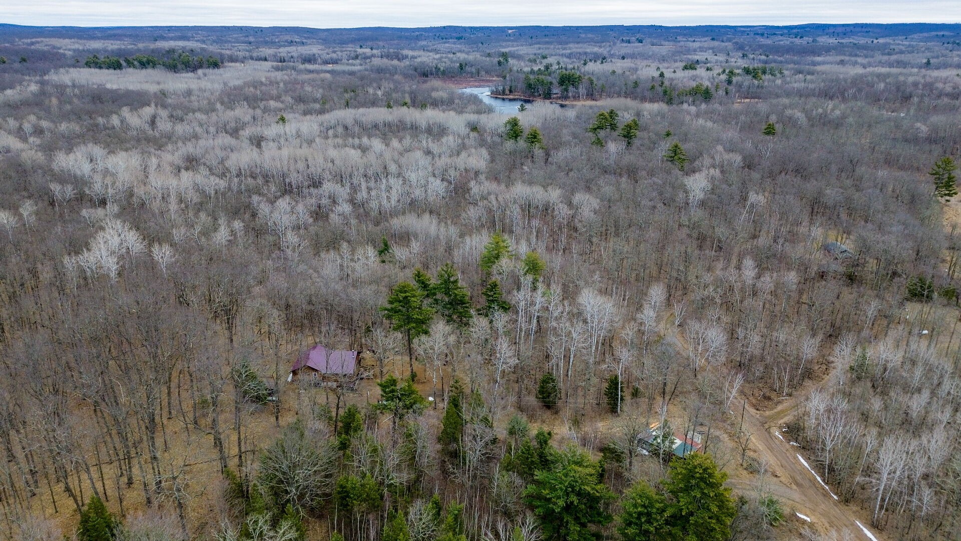 15594-Deer-Birchwood-WI-54817-5