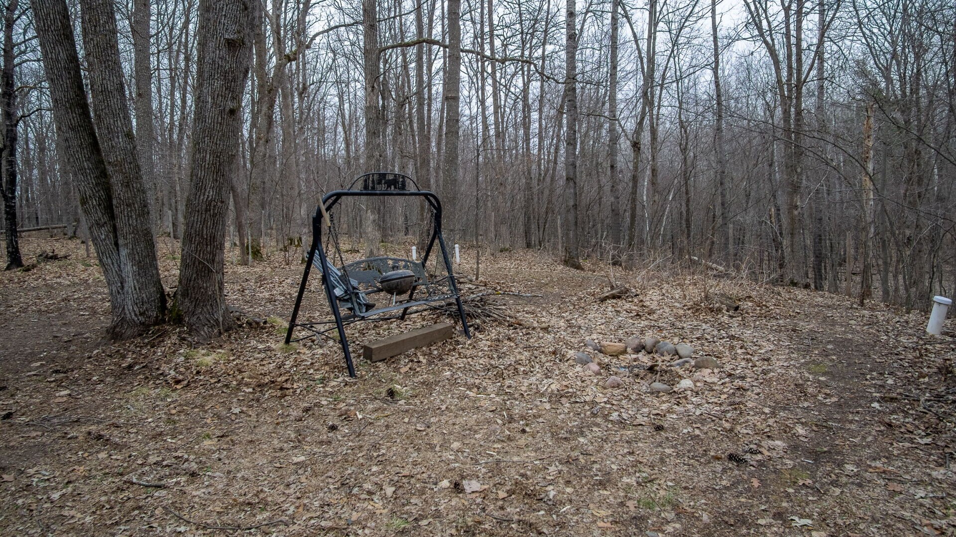 15594-Deer-Birchwood-WI-54817-7