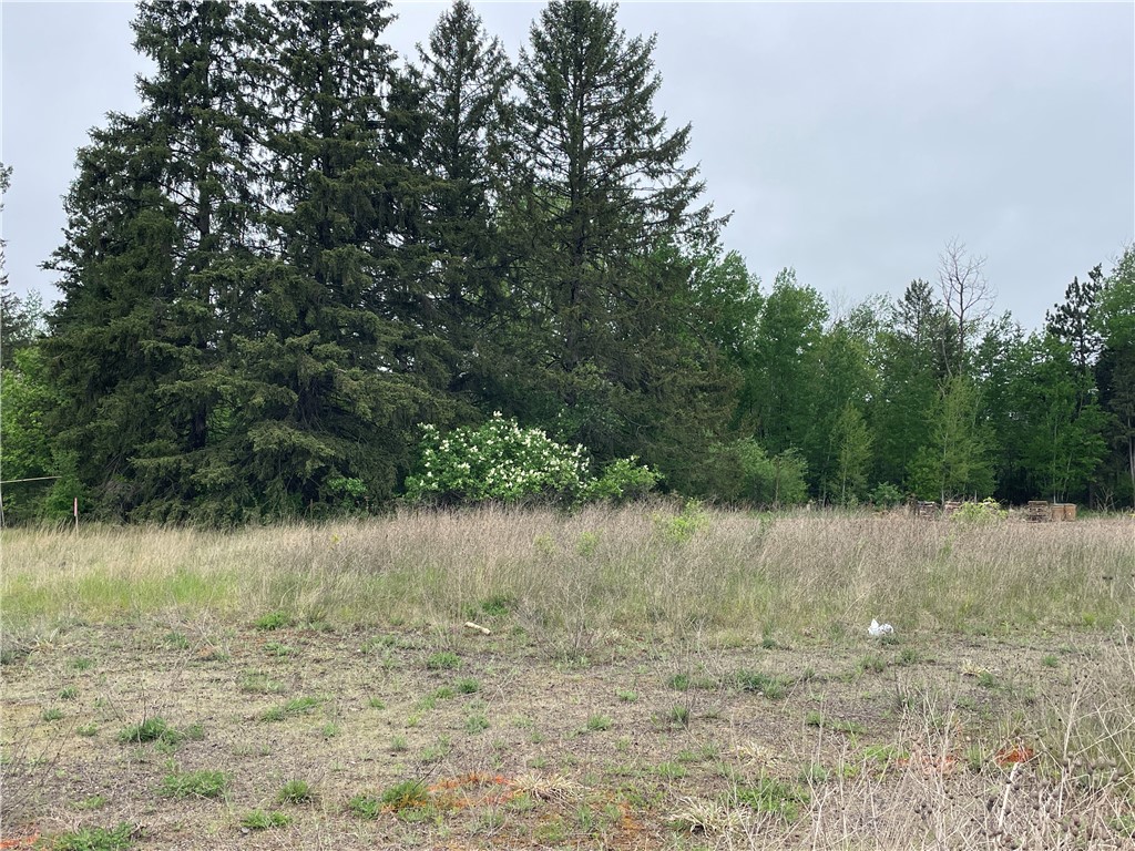 Commercial Sale at 15952 US Highway 63, Hayward, WI 54843 — photo 2