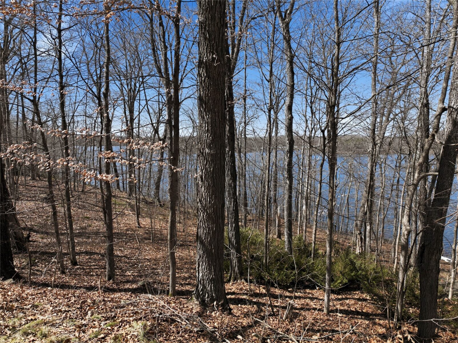 16734 W Maple Terrace Drive, Birchwood, WI — photo 4