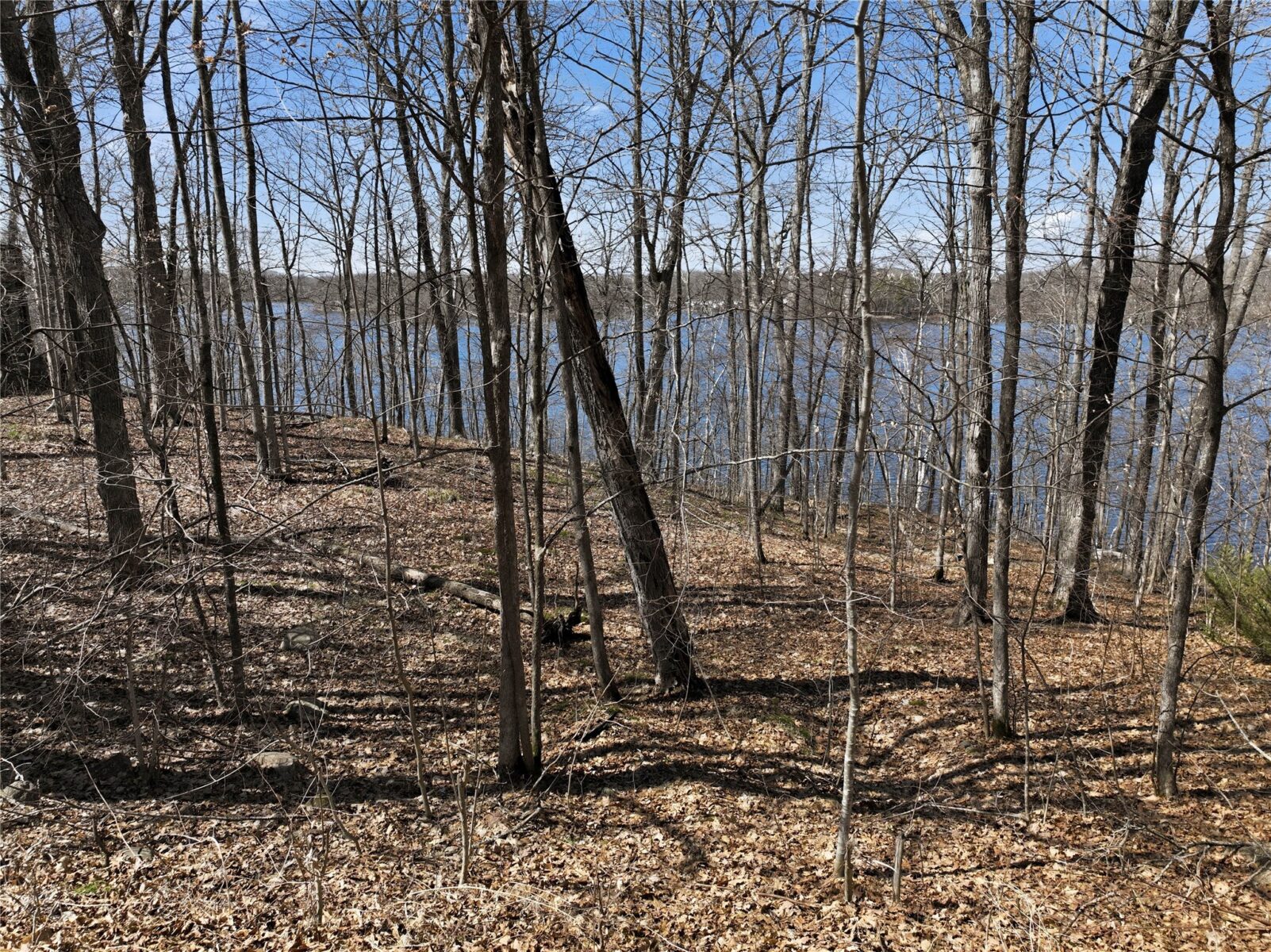 16734 W Maple Terrace Drive, Birchwood, WI — photo 5