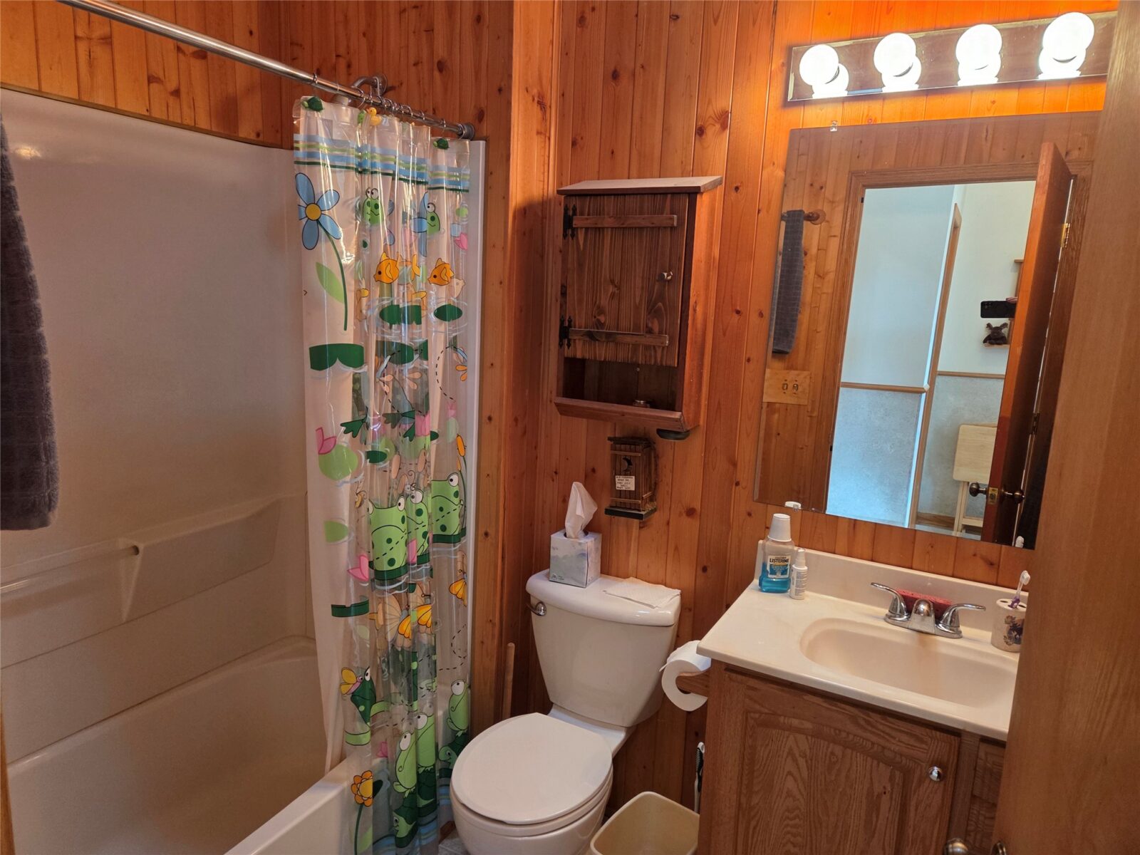 1695 White Ash Way Balsam Lake WI 54810 — photo 22