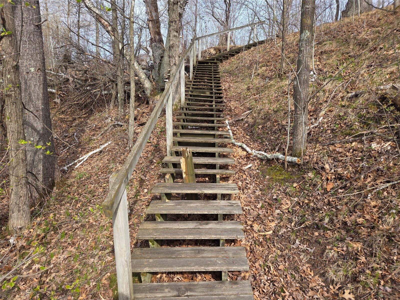 1695 White Ash Way Balsam Lake WI 54810 — photo 31