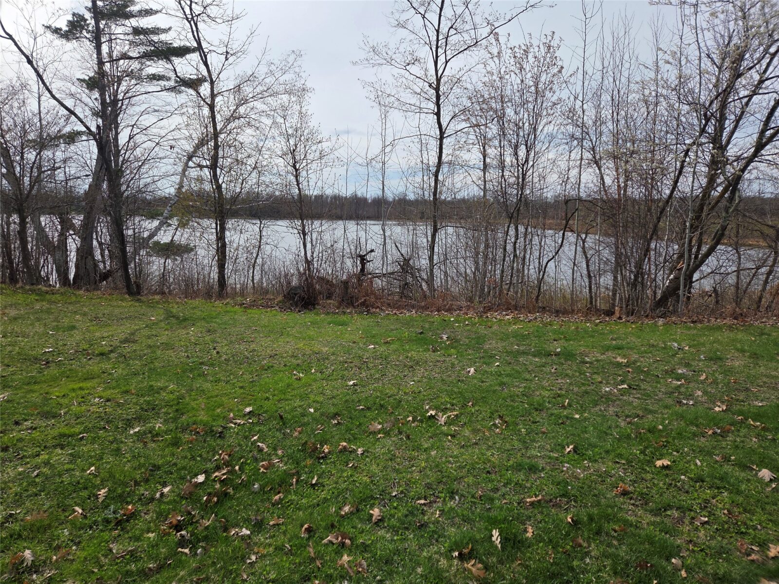 1695 White Ash Way Balsam Lake WI 54810 — photo 34