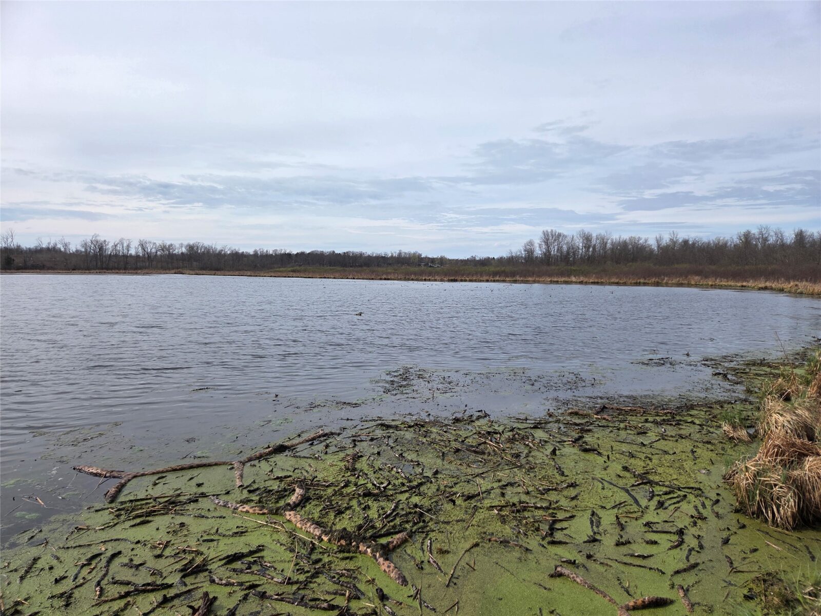 1695 White Ash Way Balsam Lake WI 54810 — photo 9