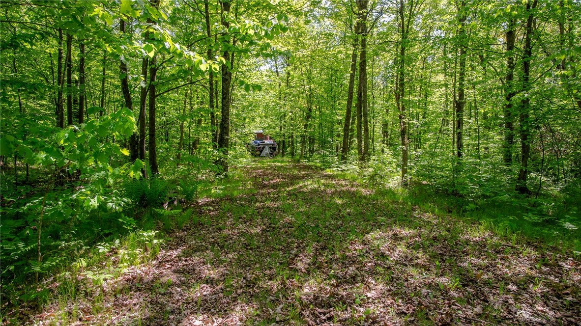 Residential at 1775 Round Lake Road, Bruce, WI 54819 — photo 17