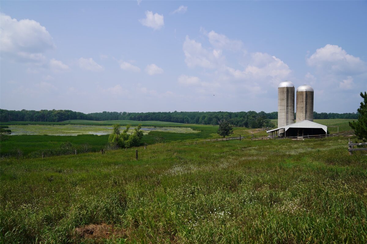 Land at 1847 Dubois Road, Webster, WI 54893 — photo 26