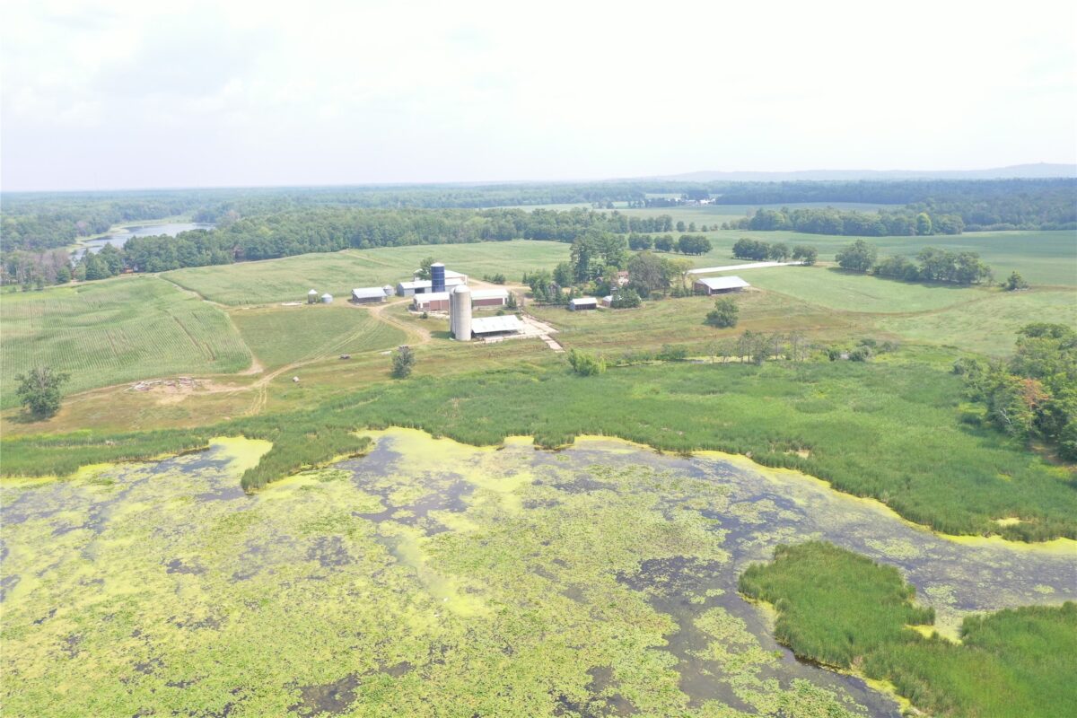 Land at 1847 Dubois Road, Webster, WI 54893 — photo 36