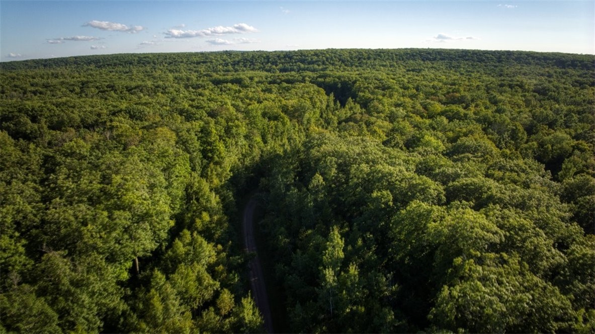 Land at 1,923 ACRES COUNTY HWY C & COMET ROAD, Exeland, WI 54835 — photo 13