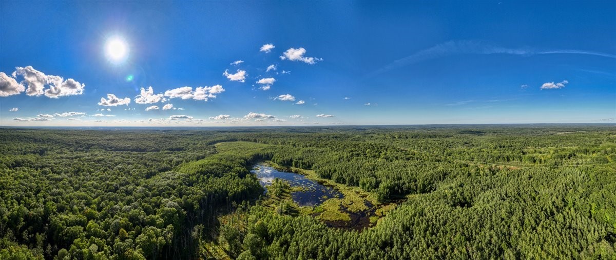 Land at 1,923 ACRES COUNTY HWY C & COMET ROAD, Exeland, WI 54835 — photo 3
