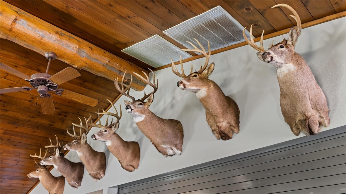 Land at 1,923 ACRES COUNTY HWY C & COMET ROAD, Exeland, WI 54835 — photo 22