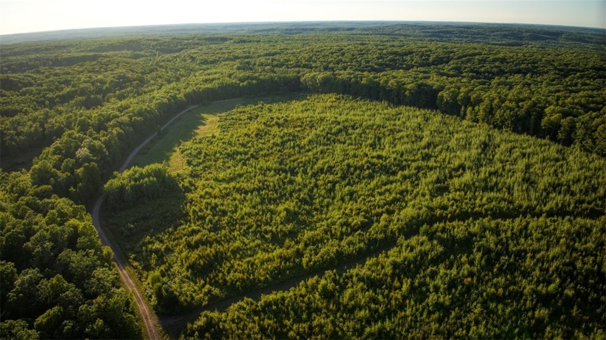 Land at 1,923 ACRES COUNTY HWY C & COMET ROAD, Exeland, WI 54835 — photo 24