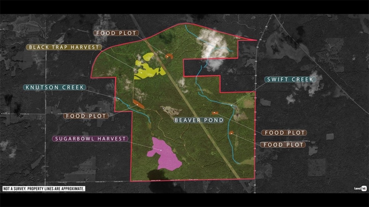 Land at 1,923 ACRES COUNTY HWY C & COMET ROAD, Exeland, WI 54835 — photo 4